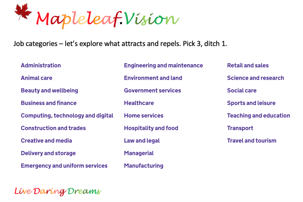 Mapleleaf Vision jobs categories: let's explore what attracts and repels you from this job category list.