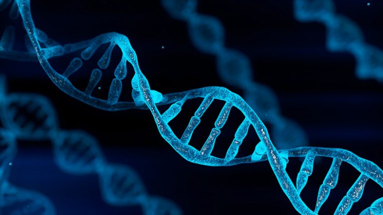 Blue chromosome DNA