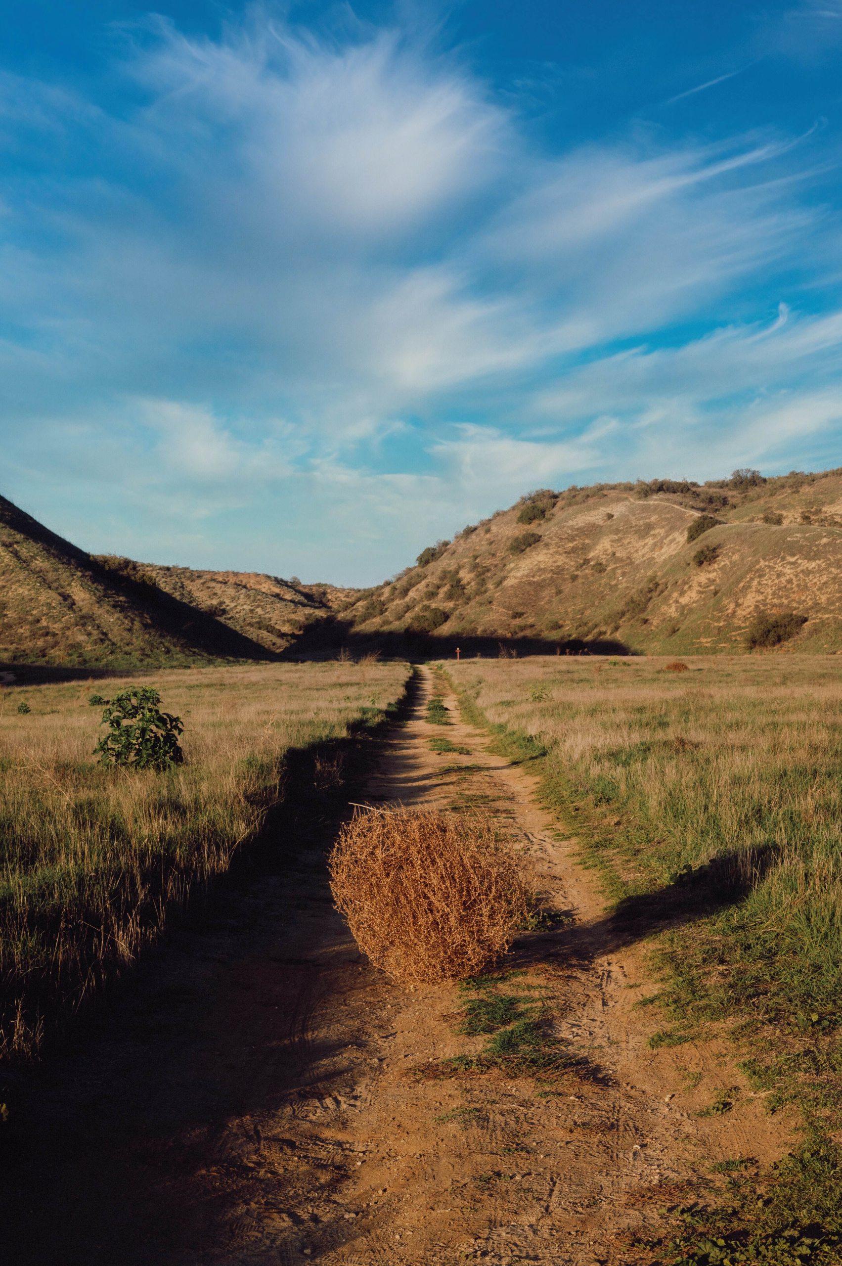 Recruitment in education like tumbleweeds.